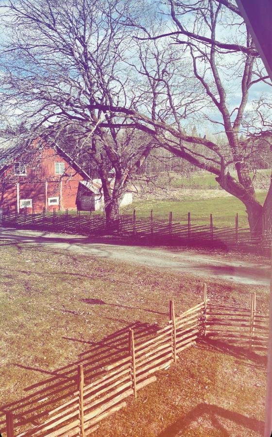 Ruth & Iris Farmhouse Несшё Экстерьер фото